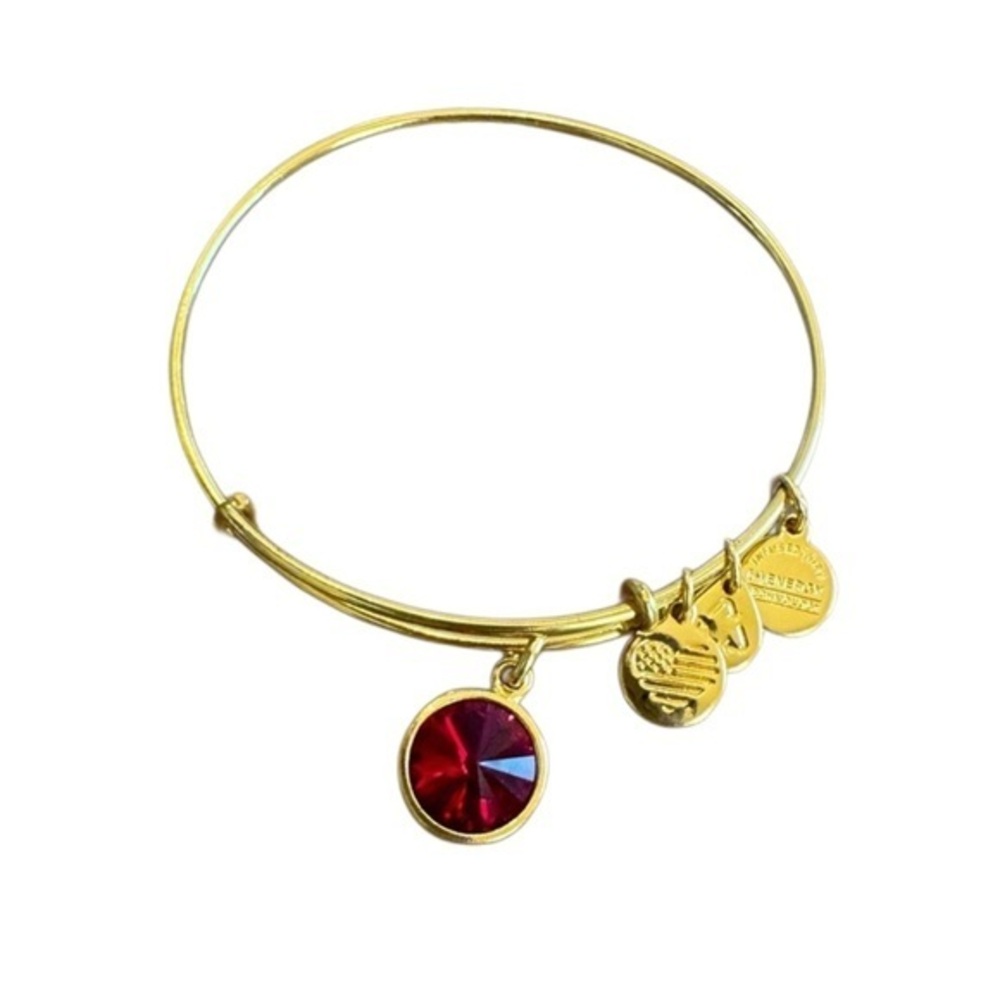 Alex and Ani Gold Bracelet with Red Charm
